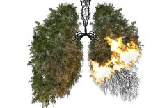 Boli asociate aerului poluat